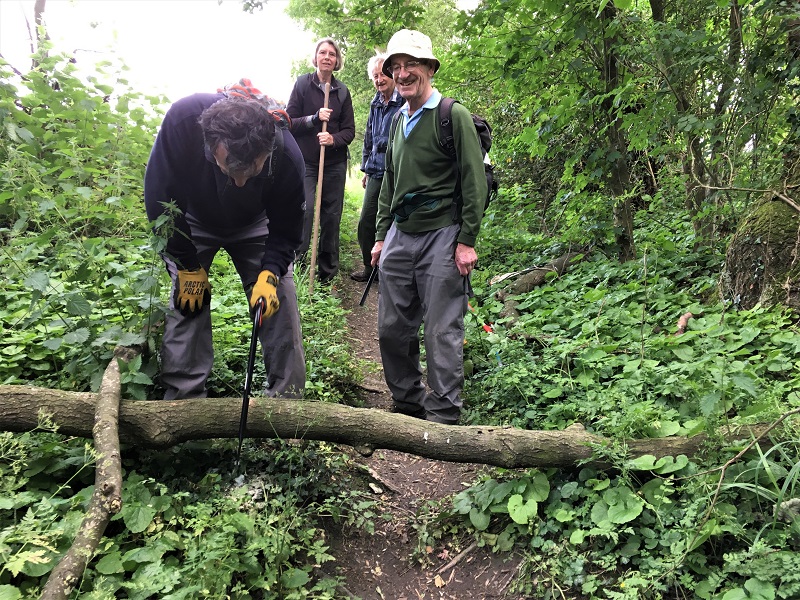 3 TW path clearance