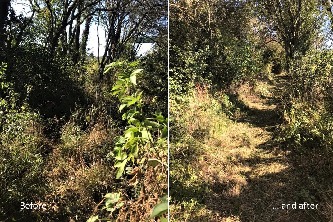 PPW FP overgrowth 2