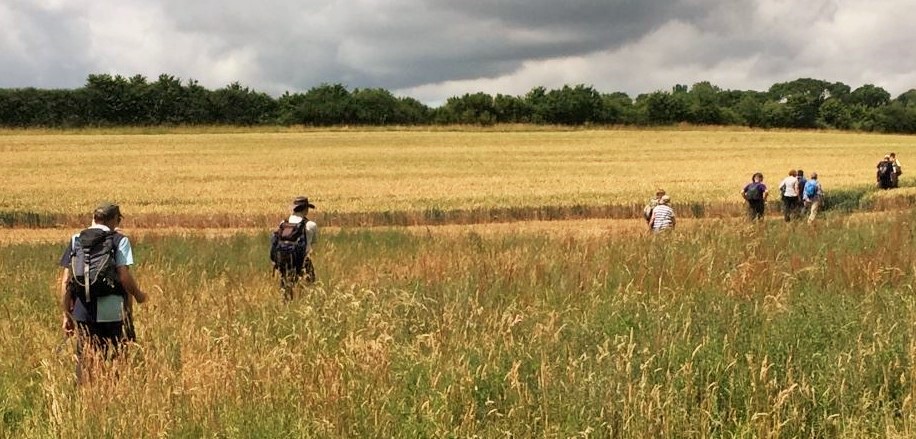 In a field