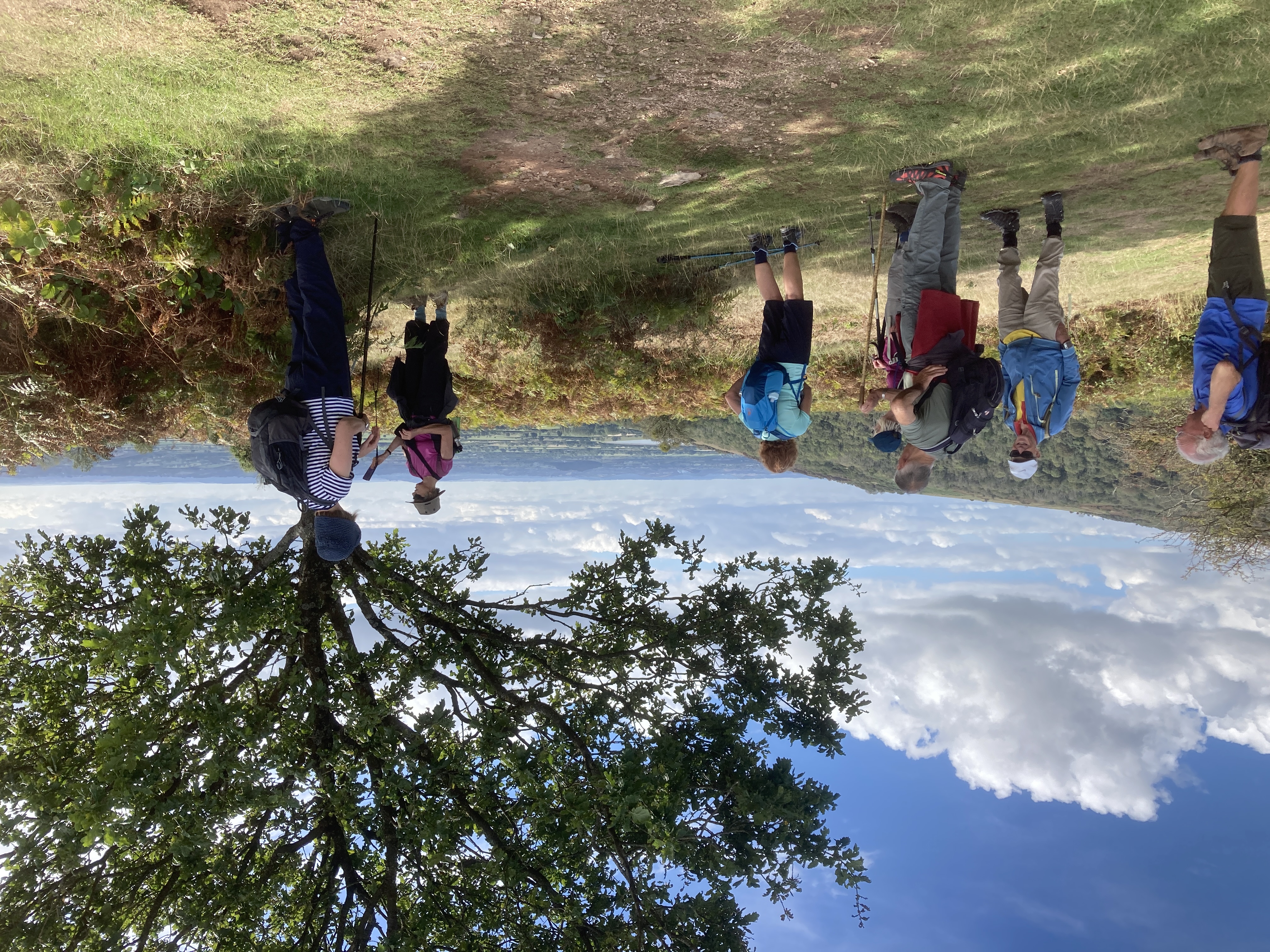Day 1 Medium walk Wavering Down view